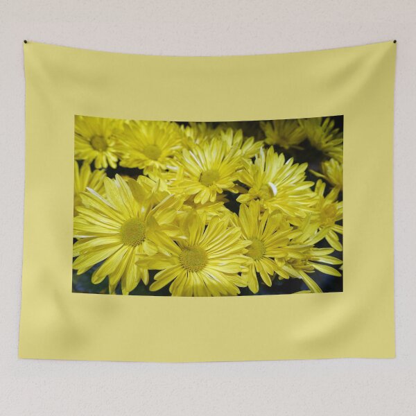 Item preview, pretty yellow daisy flowers picture. designed and sold by naturematters.