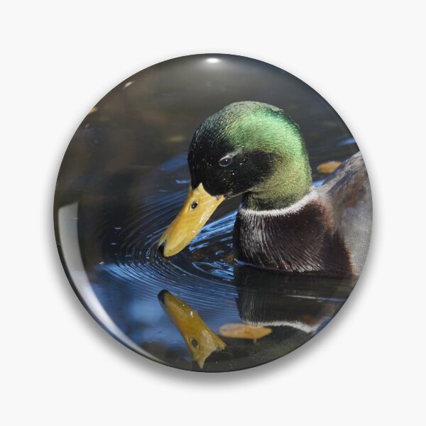 Item preview, Duck Mirrored in the Water designed and sold by couragesings.