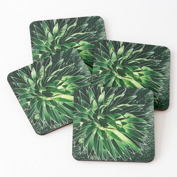 Item preview, Dramatic Succulent Art Photo In Dappled Sunlight designed and sold by DEC02.