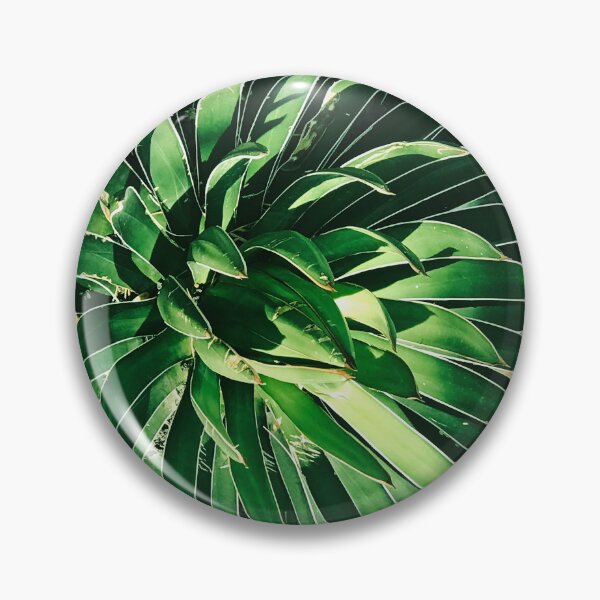 Item preview, Dramatic Succulent Art Photo In Dappled Sunlight designed and sold by DEC02.
