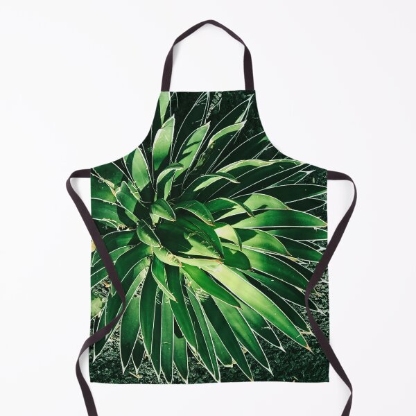 Item preview, Dramatic Succulent Art Photo In Dappled Sunlight designed and sold by DEC02.