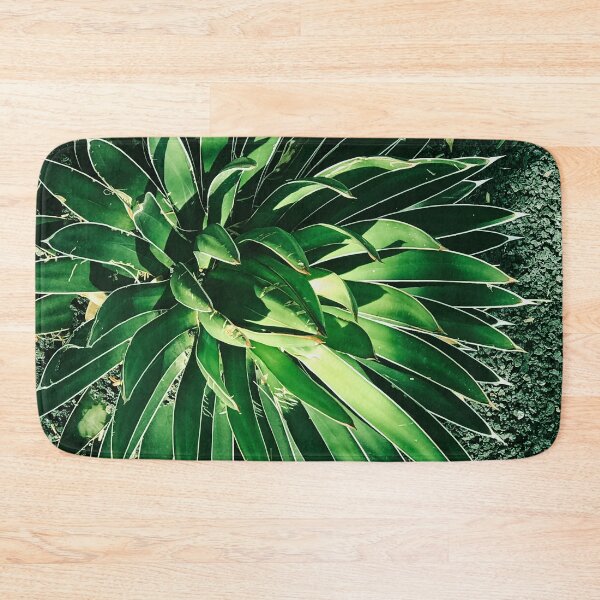 Item preview, Dramatic Succulent Art Photo In Dappled Sunlight designed and sold by DEC02.