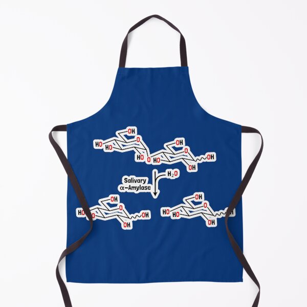 Item preview, Fun with Digestion - Disaccharide Hydrolysis via Amylase designed and sold by Artsy-Chemist.