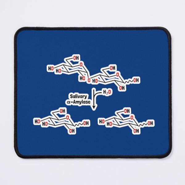 Item preview, Fun with Digestion - Disaccharide Hydrolysis via Amylase designed and sold by Artsy-Chemist.