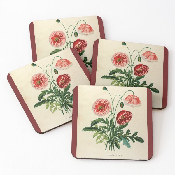 Item preview, Vincent, Henriette Antoinette. Études de fleurs et de fruits Vintage Floral Art designed and sold by artemisxluna89.
