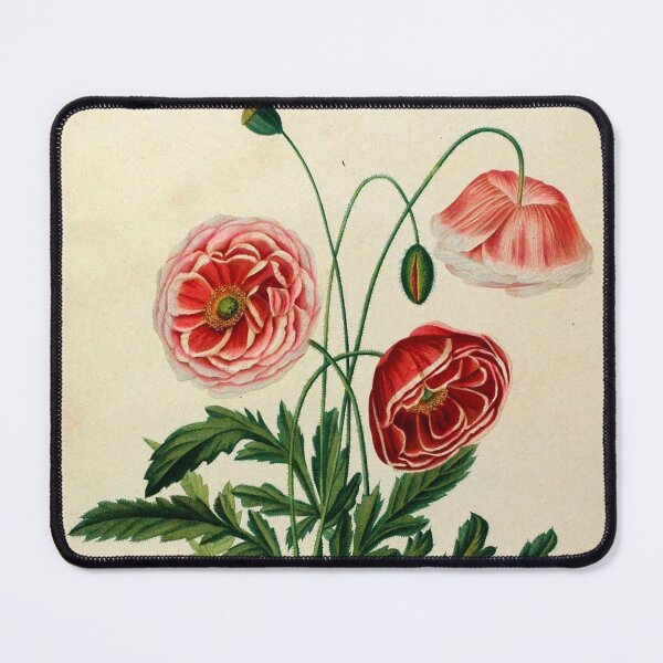 Item preview, Vincent, Henriette Antoinette. Études de fleurs et de fruits Vintage Floral Art designed and sold by artemisxluna89.