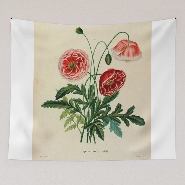 Item preview, Vincent, Henriette Antoinette. Études de fleurs et de fruits Vintage Floral Art designed and sold by artemisxluna89.