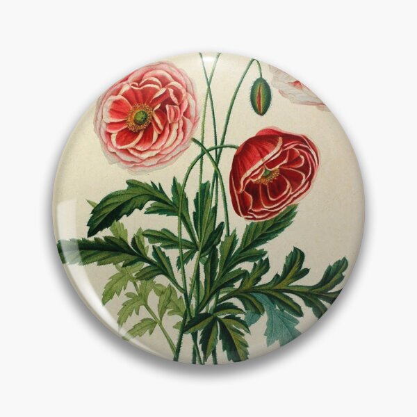 Item preview, Vincent, Henriette Antoinette. Études de fleurs et de fruits Vintage Floral Art designed and sold by artemisxluna89.