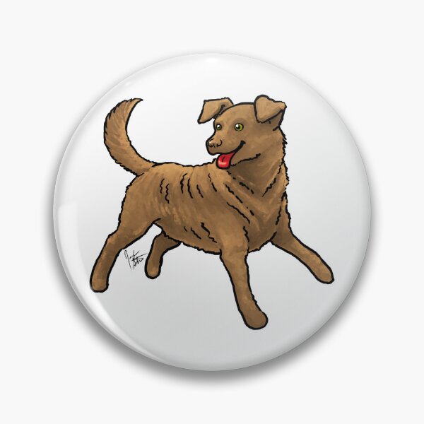 Item preview, Dog - Chesapeake Bay Retriever - Sedge designed and sold by Jennifer Stolzer.