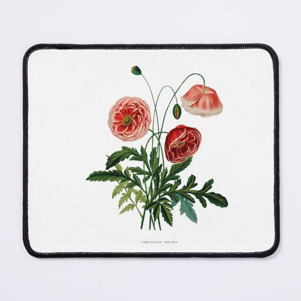 Item preview, Vincent, Henriette Antoinette. Études de fleurs et de fruits Vintage Floral Art designed and sold by artemisxluna89.