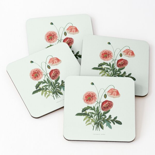 Item preview, Vincent, Henriette Antoinette. Études de fleurs et de fruits Vintage Floral Art designed and sold by artemisxluna89.