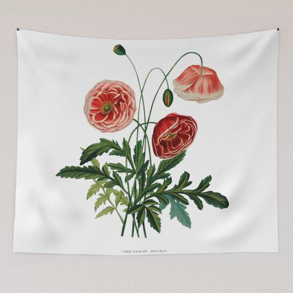 Item preview, Vincent, Henriette Antoinette. Études de fleurs et de fruits Vintage Floral Art designed and sold by artemisxluna89.