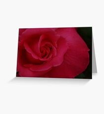 Rose Greeting Card