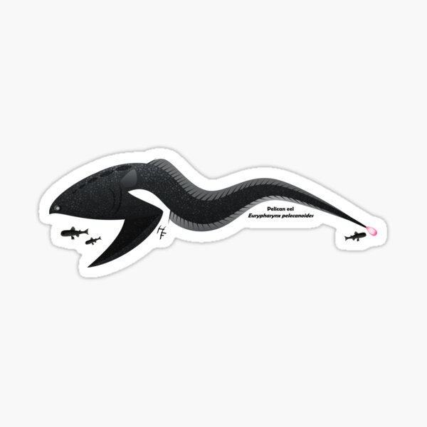 Vista previa del artículo con la obra «Equipo Submarino Pelican Eel (Eurypharynx pelecanoides)», diseñado y vendido por Team Submarine.