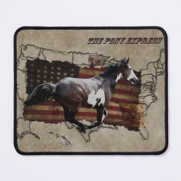 Item preview, Pony Express Pinto Horse Delivering US Mail designed and sold by NaturePrints.