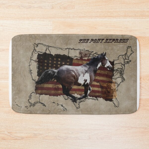 Item preview, Pony Express Pinto Horse Delivering US Mail designed and sold by NaturePrints.