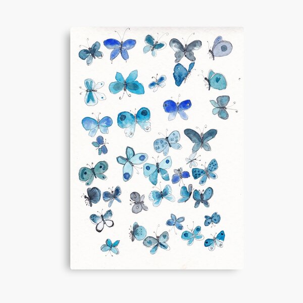 Blue butterflies Canvas Print
