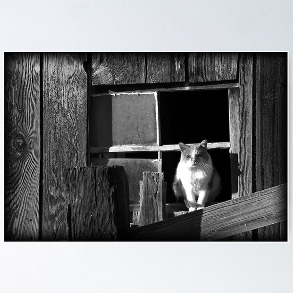 Item preview, Barn Cat designed and sold by Ryan Houston.