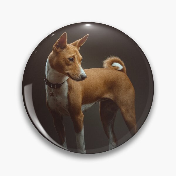 Item preview, Beautiful brown basenji dog designed and sold by reka88.