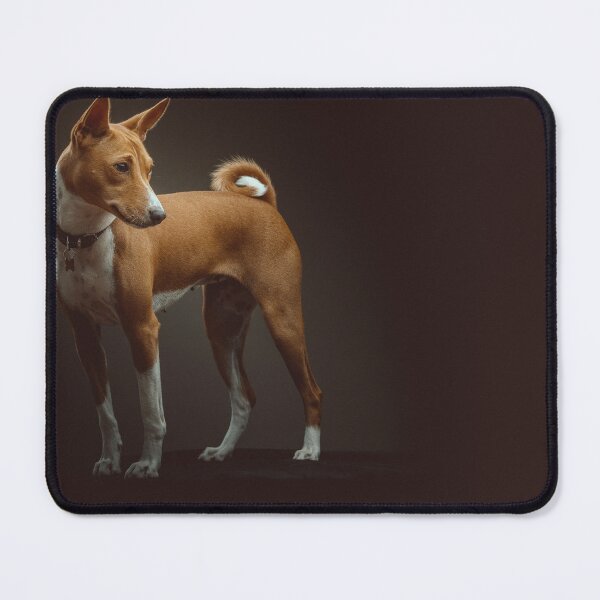 Item preview, Beautiful brown basenji dog designed and sold by reka88.