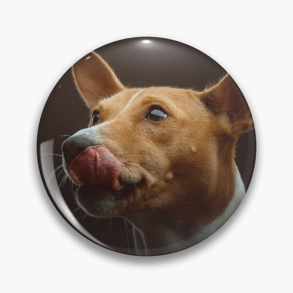 Item preview, Beautiful brown basenji dog designed and sold by reka88.