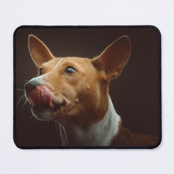 Item preview, Beautiful brown basenji dog designed and sold by reka88.