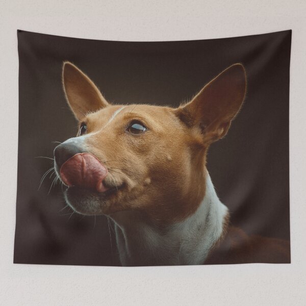 Item preview, Beautiful brown basenji dog designed and sold by reka88.
