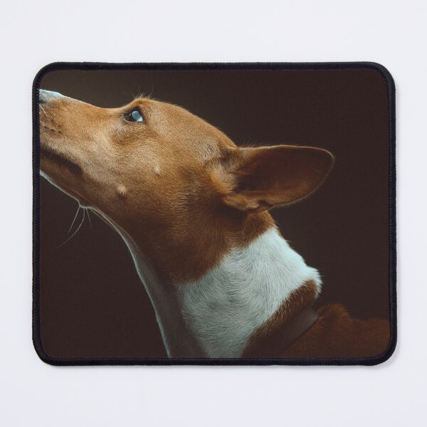 Item preview, Beautiful brown basenji dog designed and sold by reka88.