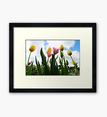 Colours Framed Print