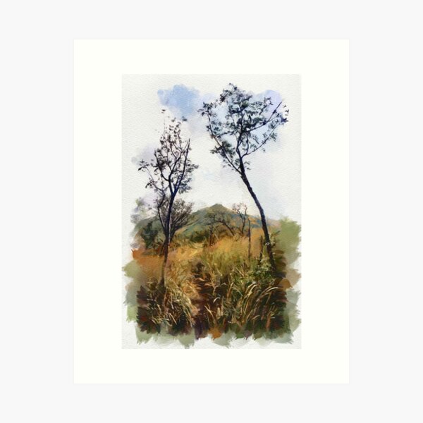 Bieszczady in summer Art Print