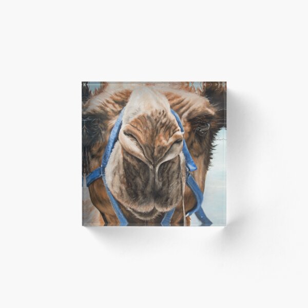 Darcy II Acrylic Block