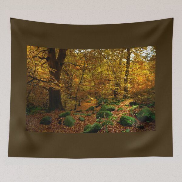 Artikelvorschau, Bäume und Felsen bei Padley Gorge entworfen und verkauft von Alisonchambers2.