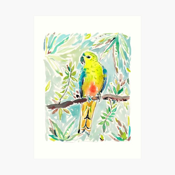 Cutie the Orange-bellied Parrot by Barbra Ignatiev Art Print
