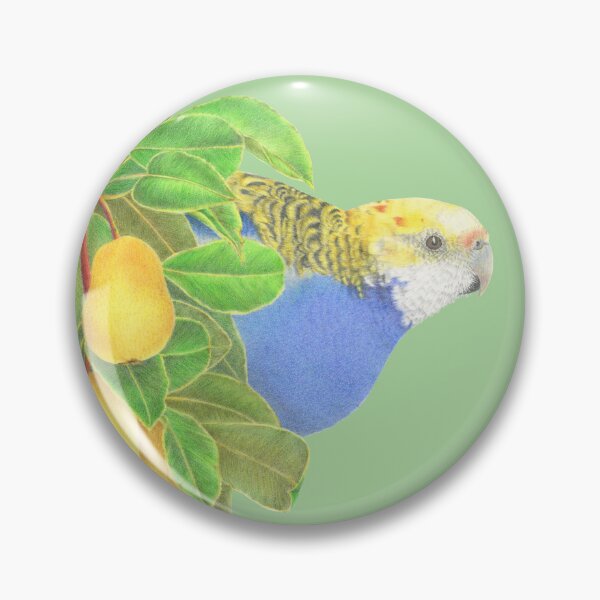 Item preview, Australian Pale Headed Rosella in pear tree. With coloured background. designed and sold by ArtbyLeanneWB.