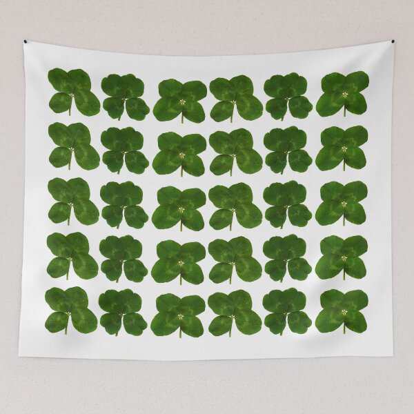 Item preview, Four-leaf clovers (real) designed and sold by denimaheart.