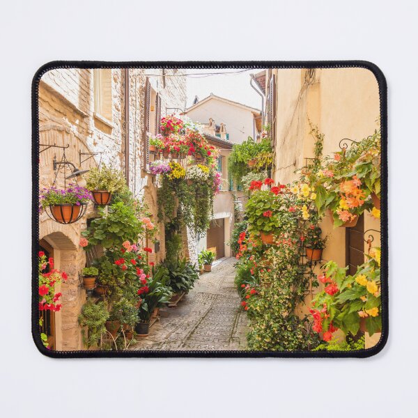 Item preview, Flowers in ancient street located in Spello village. Umbria Region, Italy. designed and sold by Paolo Modena Photography - Fine Italian Art.