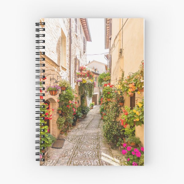 Item preview, Flowers in ancient street located in Spello village. Umbria Region, Italy. designed and sold by Paolo Modena Photography    -   Fine Italian Art.