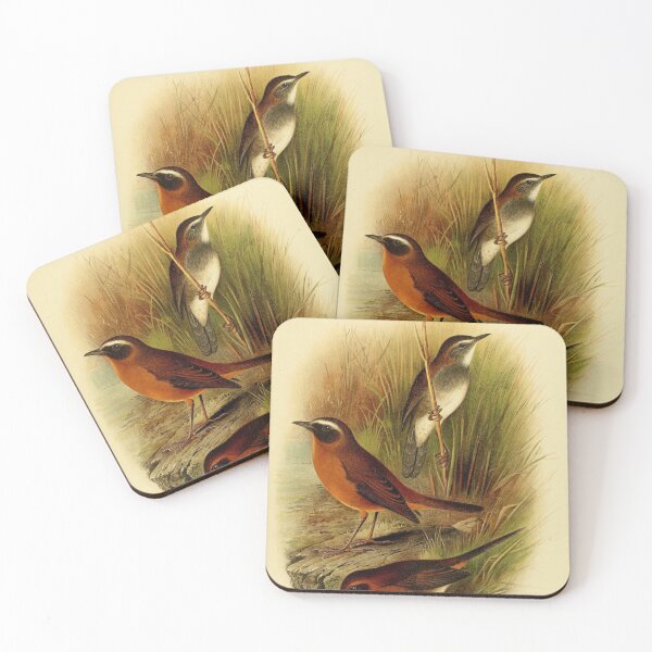 Item preview, Three Evergreen Forest Warblers designed and sold by laguitan10.