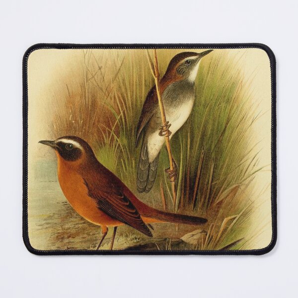 Item preview, Three Evergreen Forest Warblers designed and sold by laguitan10.