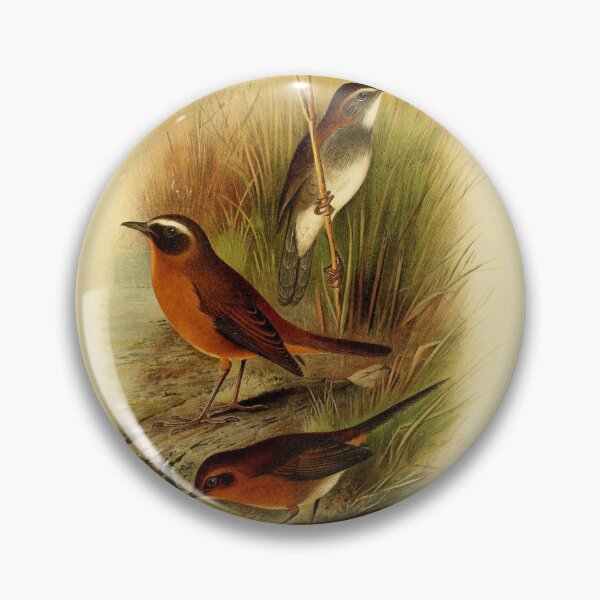 Item preview, Three Evergreen Forest Warblers designed and sold by laguitan10.