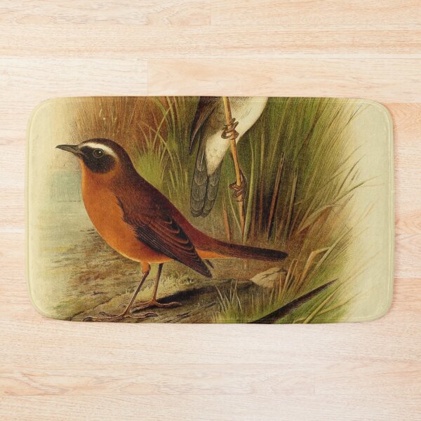 Item preview, Three Evergreen Forest Warblers designed and sold by laguitan10.