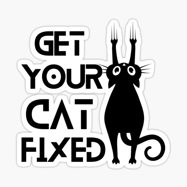 How To Get Your Cat Fixed For Free