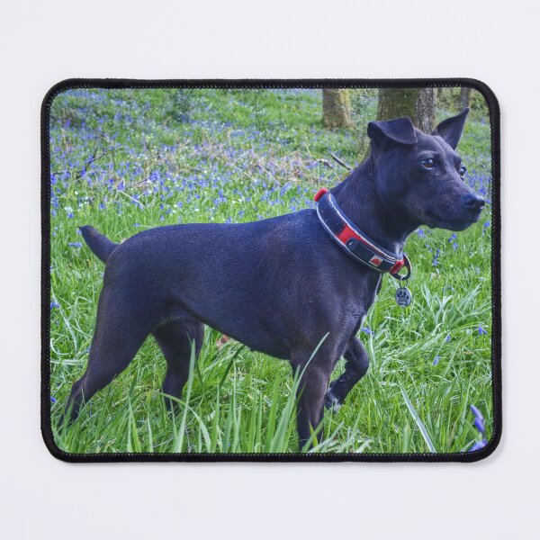 Item preview, Tarn Amongst The Bluebells designed and sold by Jamie Green.
