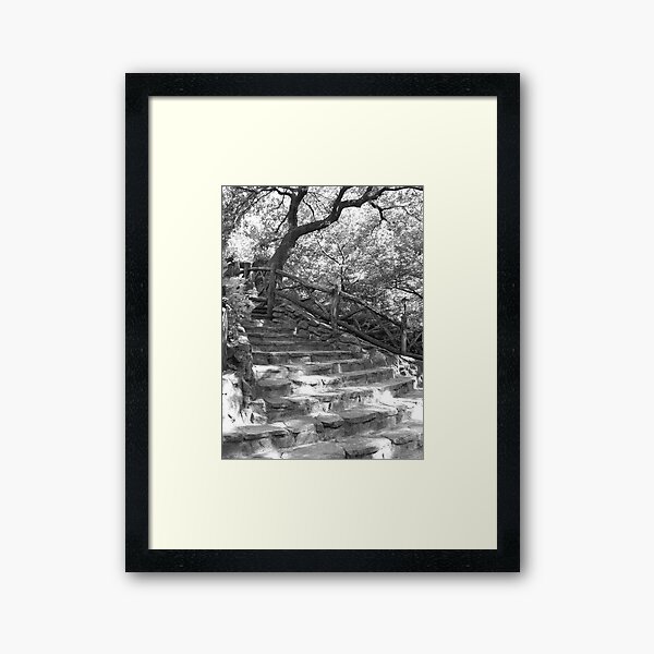 Stone Steps - Shakespeare Garden - Central Park, NYC Framed Art Print
