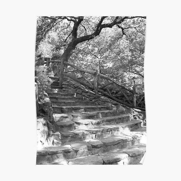 Stone Steps - Shakespeare Garden - Central Park, NYC Poster