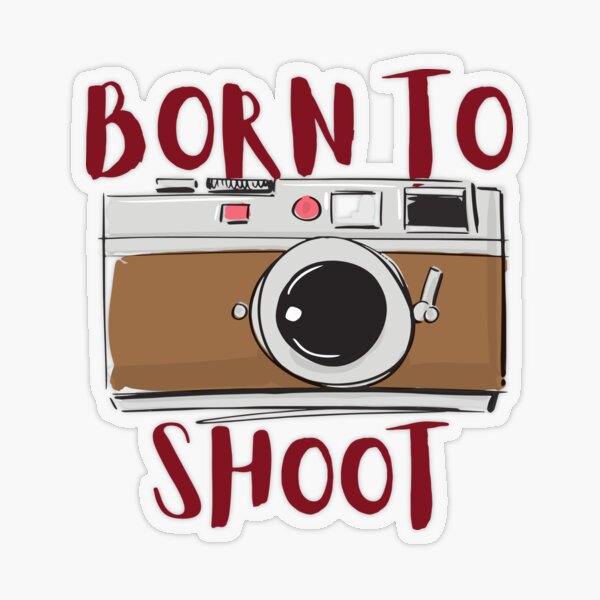 Foiled Bow Camera/ Video Camera Icon Stickers – Bloom Paper Studio
