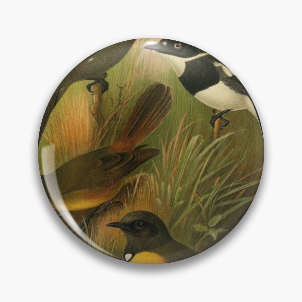 Item preview, Blue-Mantled Crested Flycatcher And Friends designed and sold by laguitan10.