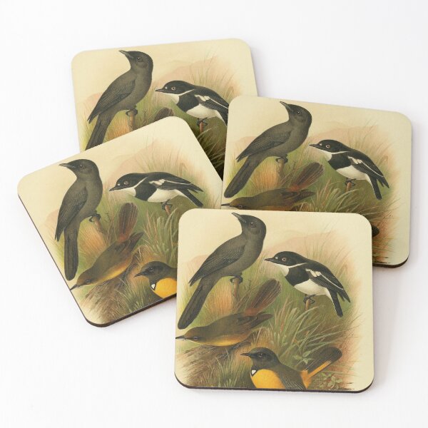 Item preview, Blue-Mantled Crested Flycatcher And Friends designed and sold by laguitan10.
