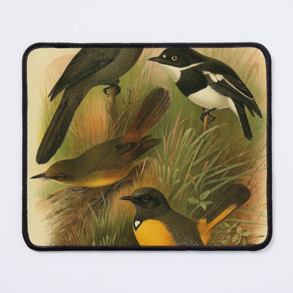 Item preview, Blue-Mantled Crested Flycatcher And Friends designed and sold by laguitan10.