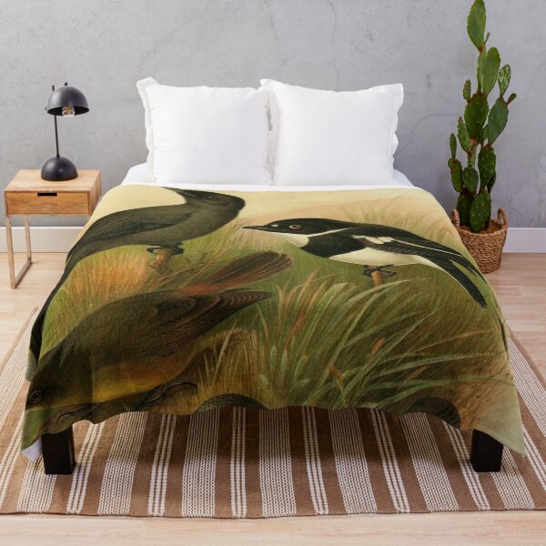 Item preview, Blue-Mantled Crested Flycatcher And Friends designed and sold by laguitan10.